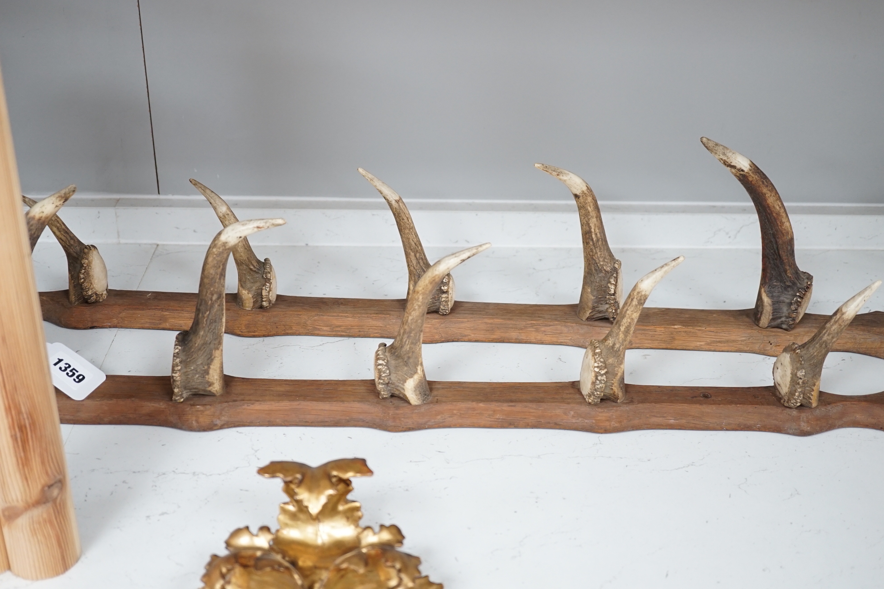 A two piece antler gun rack, 87cm high